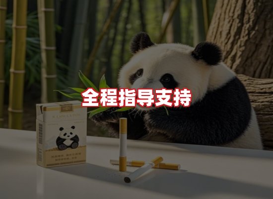 专业团队